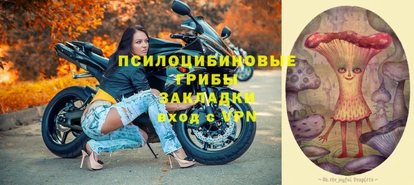 трава Бородино