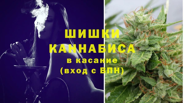 трава Бородино