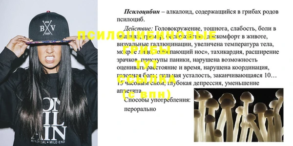 эйфоретик Осинники