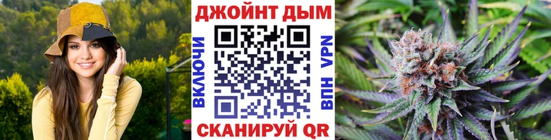 магазин продажи   Дмитров  Канабис сатива 